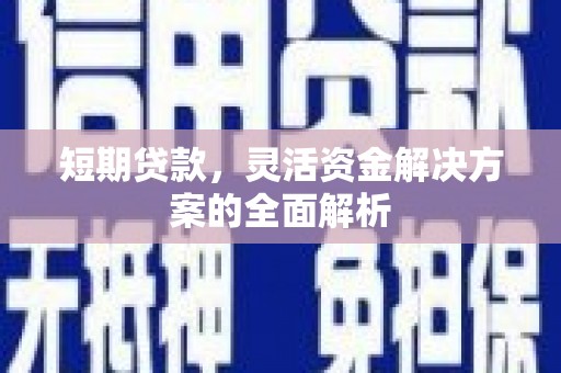 褒忠短期贷款，灵活资金解决方案的全面解析