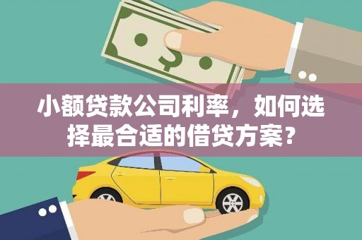 宽甸小额贷款公司利率，如何选择最合适的借贷方案？