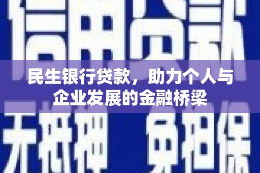 云林民生银行贷款，助力个人与企业发展的金融桥梁