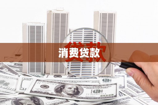 理县消费贷款