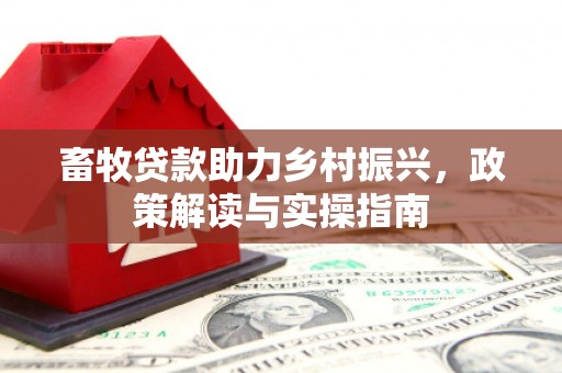 朱家尖畜牧贷款助力乡村振兴，政策解读与实操指南