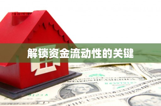 红星解锁资金流动性的关键