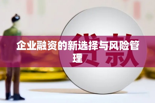 文圣企业融资的新选择与风险管理