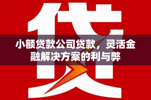 镇康小额贷款公司贷款，灵活金融解决方案的利与弊